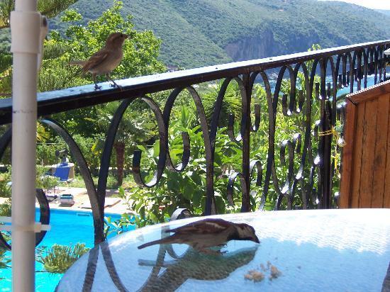 Bella Vista Hotel And Apartments Parga Bagian luar foto