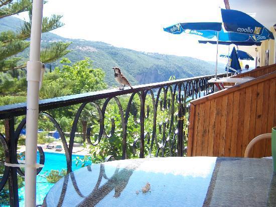 Bella Vista Hotel And Apartments Parga Bagian luar foto